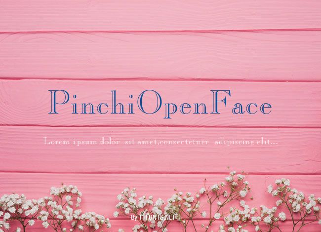 PinchiOpenFace example