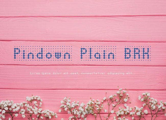 Pindown Plain BRK example