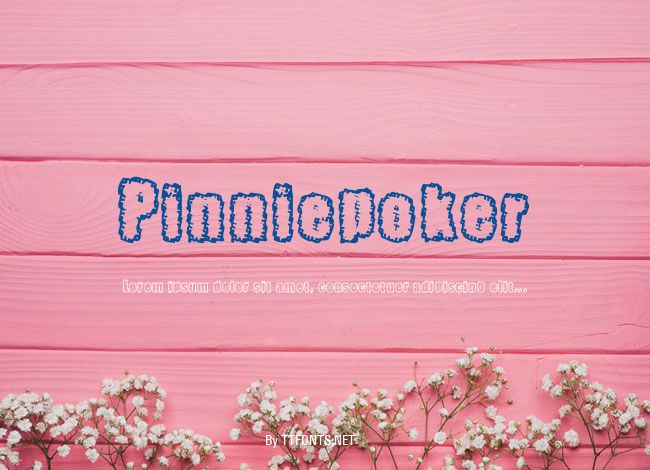 Pinniepoker example