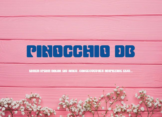 Pinocchio DB example