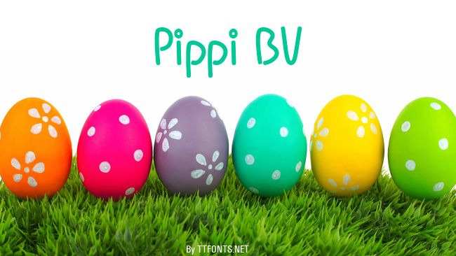 Pippi BV example