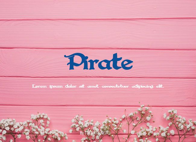 Pirate example