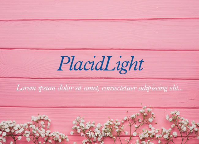 PlacidLight example
