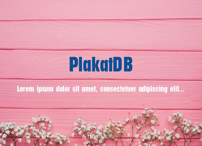 PlakatDB example