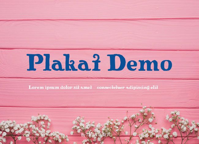 Plakat Demo example