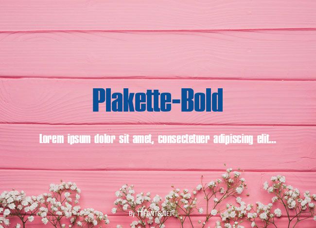 Plakette-Bold example