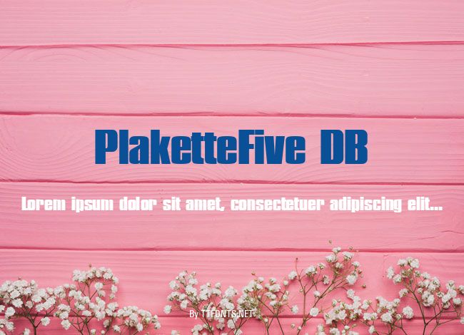 PlaketteFive DB example