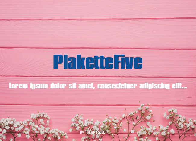 PlaketteFive example