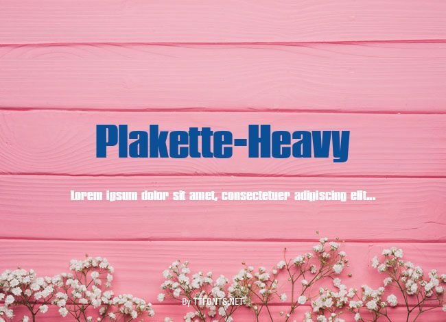 Plakette-Heavy example