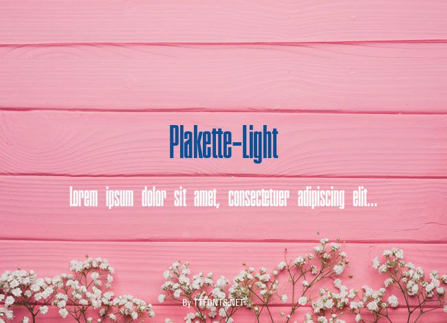 Plakette-Light example