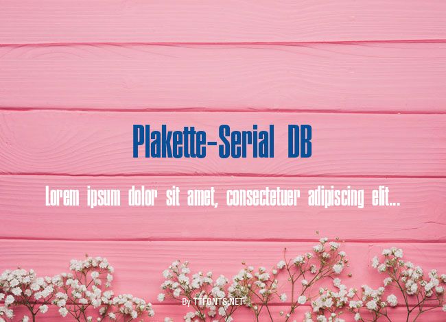 Plakette-Serial DB example