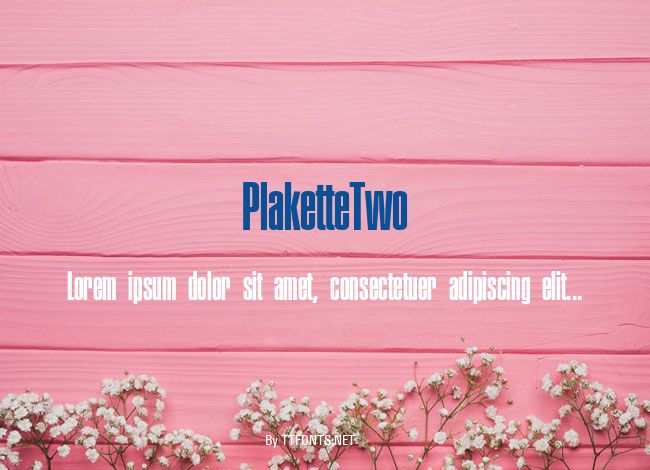 PlaketteTwo example