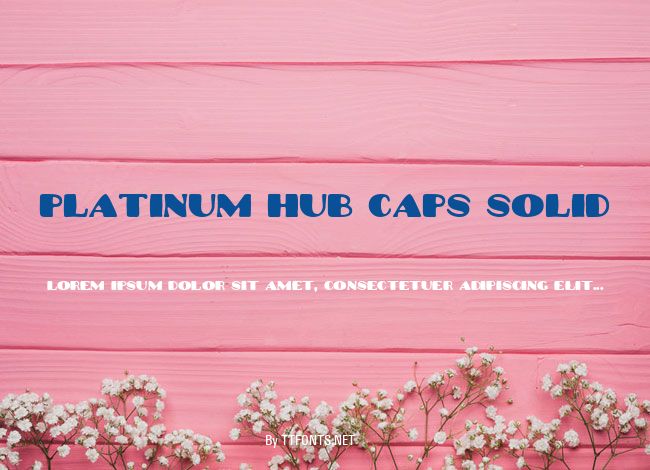 Platinum Hub Caps Solid example