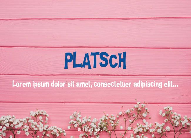 PLATSCH example