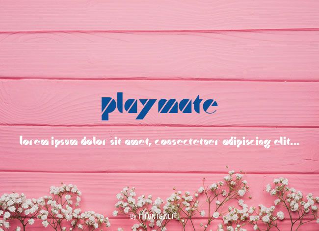 Playmate example