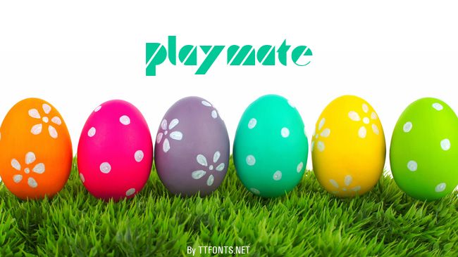 Playmate example