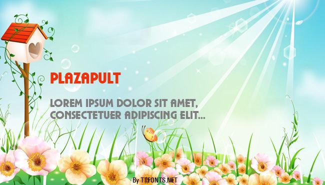 PlazaPUlt example