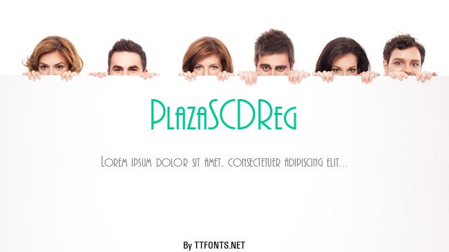 PlazaSCDReg example