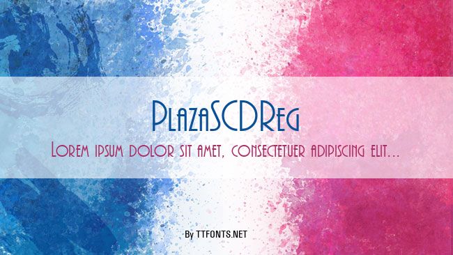 PlazaSCDReg example