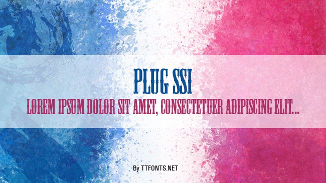 Plug SSi example
