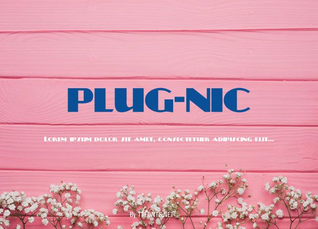 PLUG-NIC example