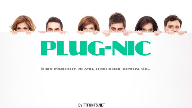 PLUG-NIC example