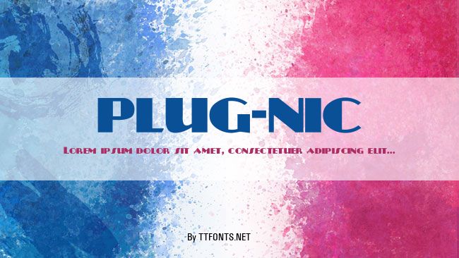 PLUG-NIC example