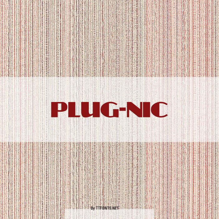 PLUG-NIC example