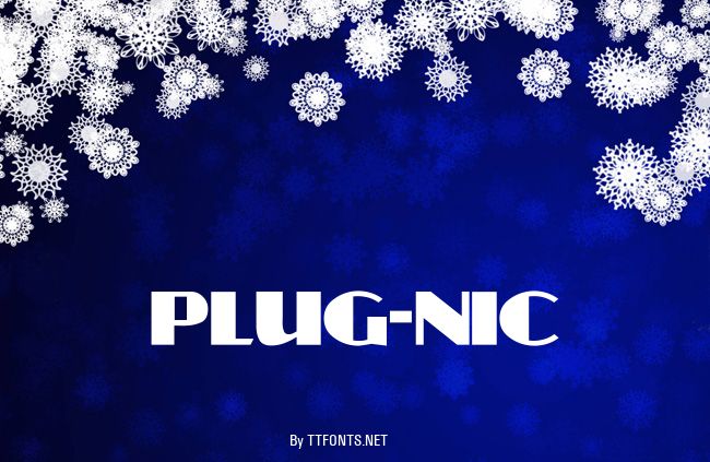 PLUG-NIC example