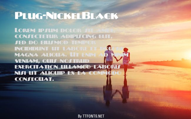 Plug-NickelBlack example