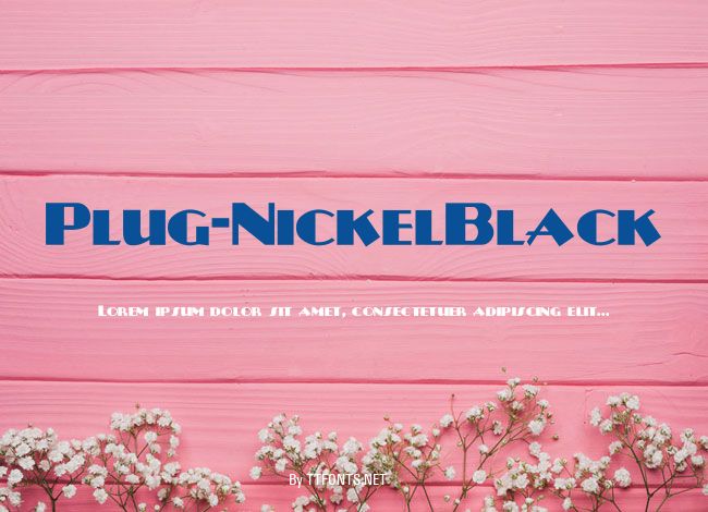 Plug-NickelBlack example