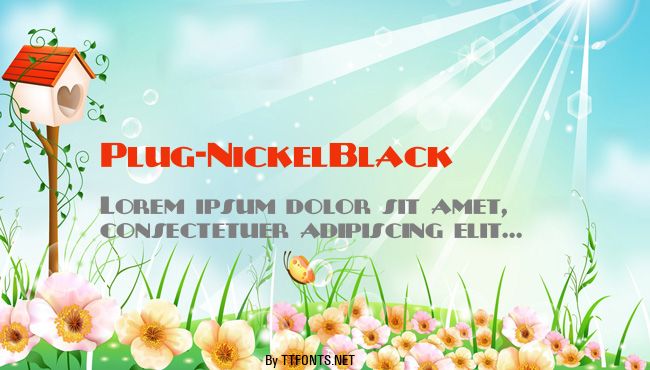 Plug-NickelBlack example