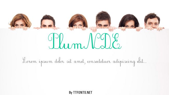 PlumNDE example