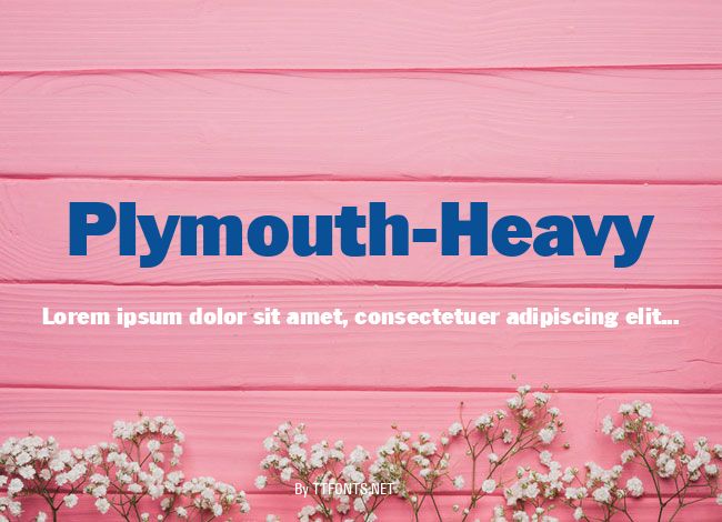 Plymouth-Heavy example