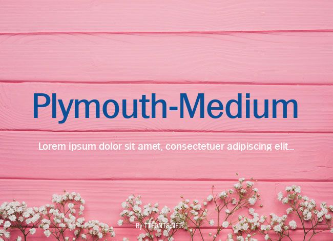Plymouth-Medium example