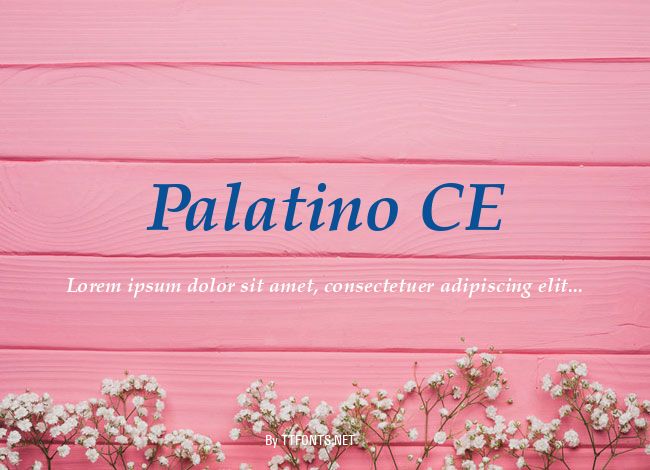 Palatino CE example