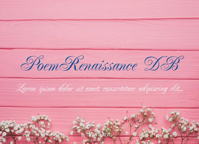 PoemRenaissance DB example
