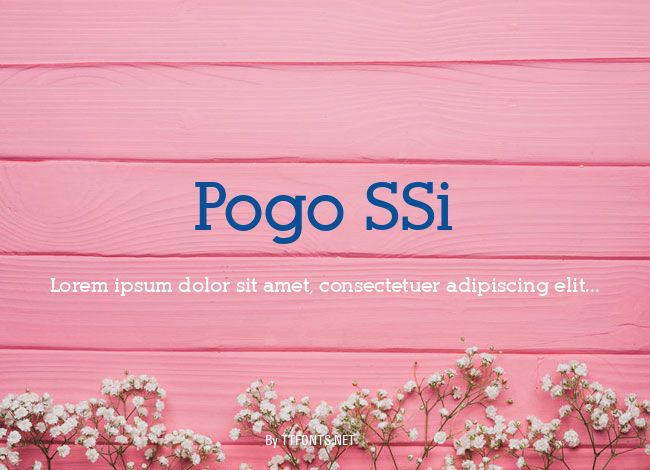 Pogo SSi example