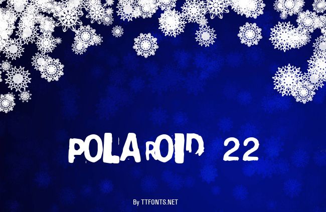 Polaroid 22 example