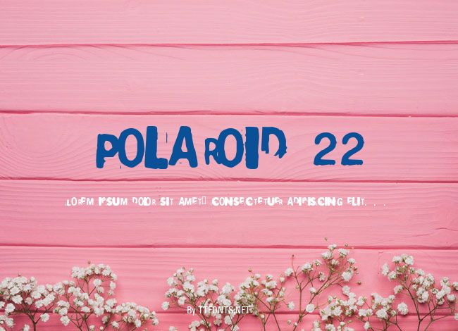 Polaroid 22 example