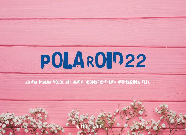 Polaroid22 example