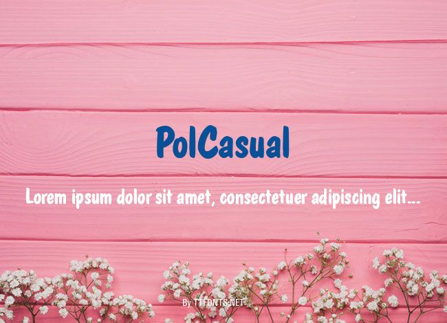 PolCasual example