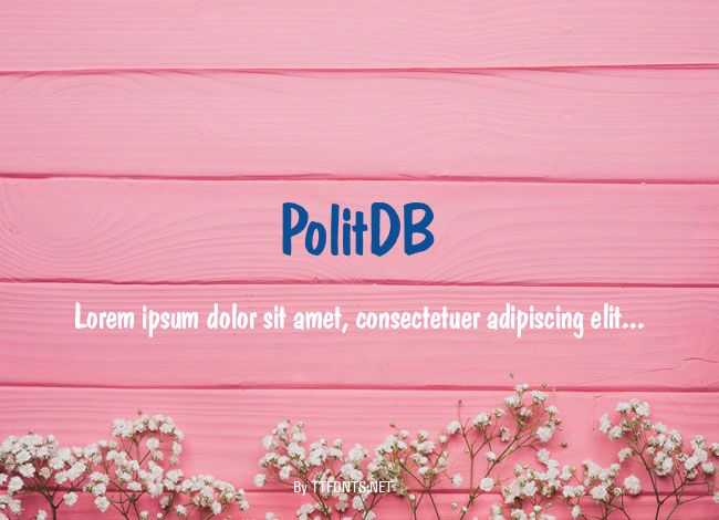 PolitDB example