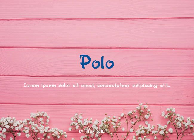 Polo example