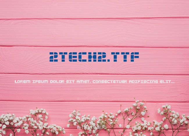 2TECH2.TTF example