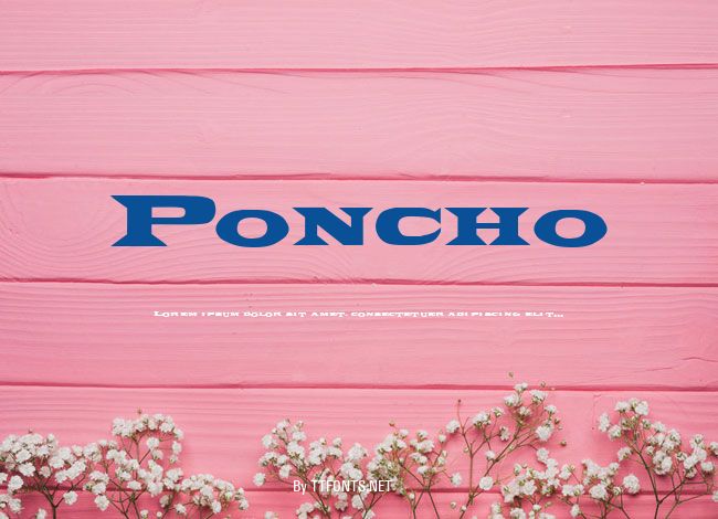 Poncho example
