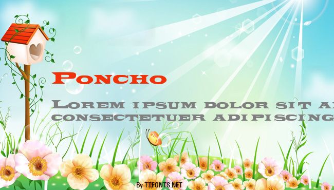 Poncho example