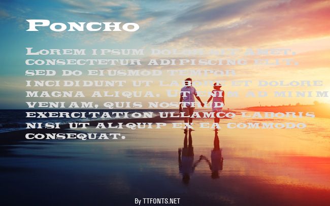 Poncho example