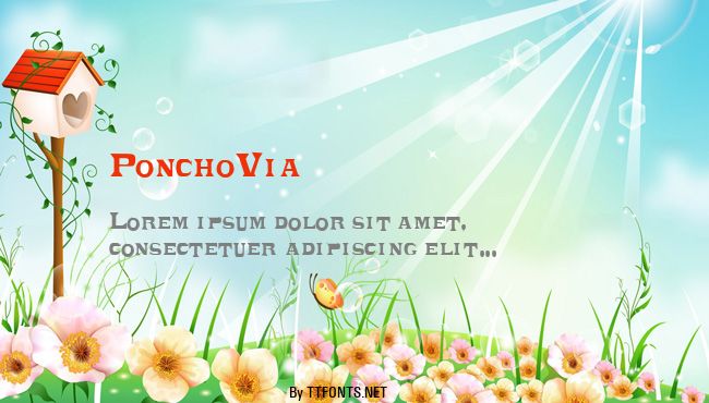 PonchoVia example