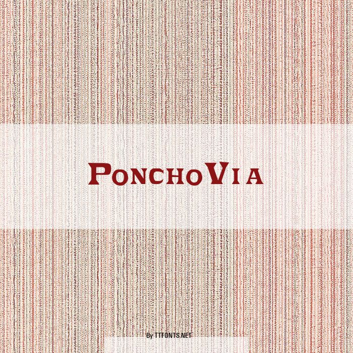 PonchoVia example